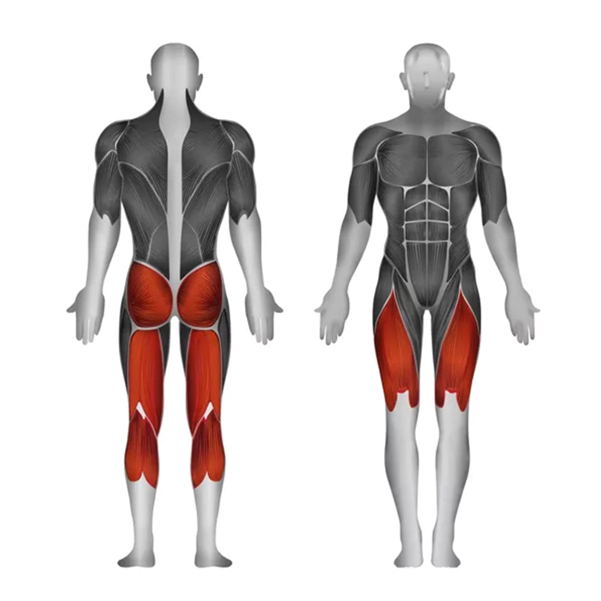 Steelflex PLSS-BR plate loaded standing squat - beeld 4