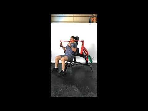 Steelflex PLTE-BR plate loaded triceps extension in beeld