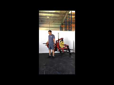 Steelflex PL2300-BR dual plate loaded squat en deadlift in beeld