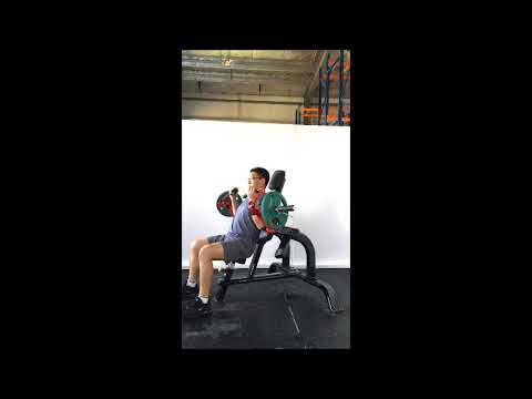 Steelflex PLBC-BR plate loaded biceps curl in beeld