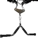 DPJ07111.webp